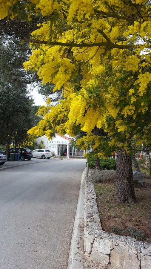 Glamping Beach Soline Biograd Na Moru Bagian luar foto
